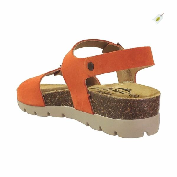 plakton-sandales-cool-calabaza