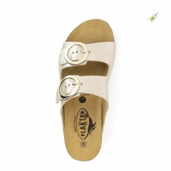 plakton-mules-memory-nude