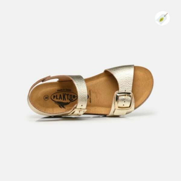 plakton-sandales-cool-or