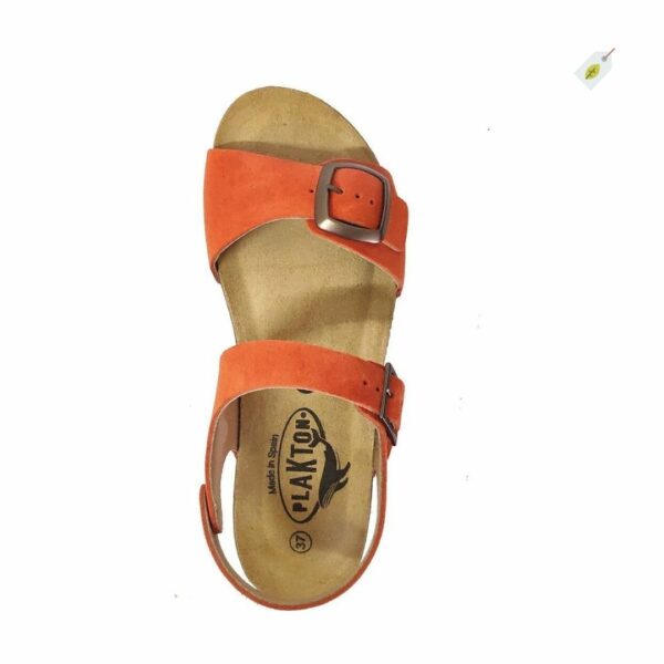 plakton-sandales-cool-calabaza