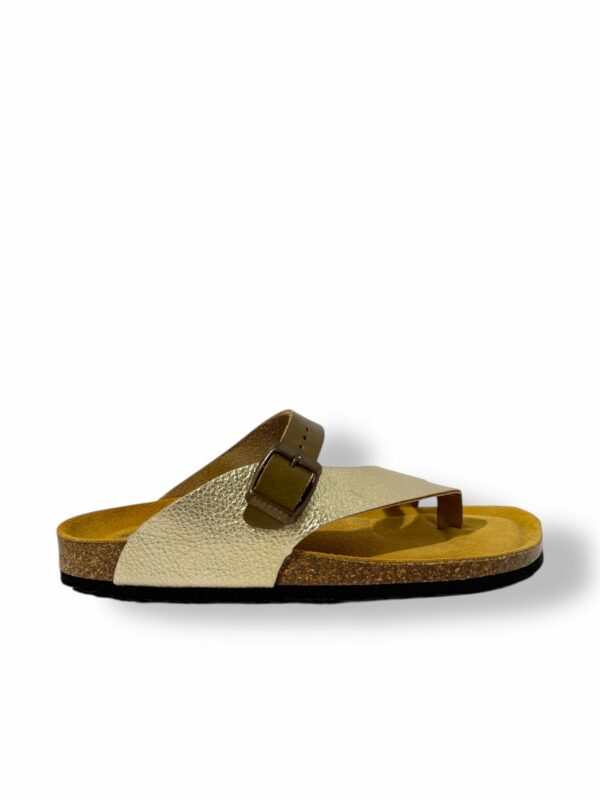 plakton-barbados-oro-kaki