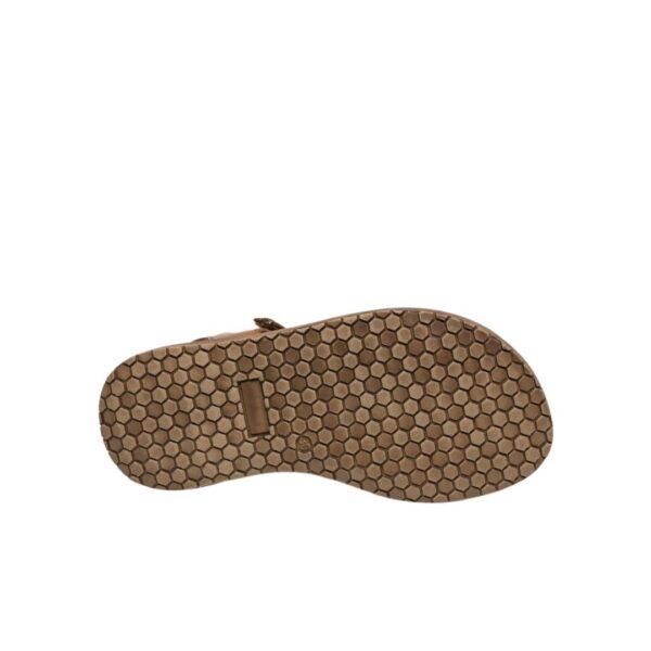 sandales-daros-brown
