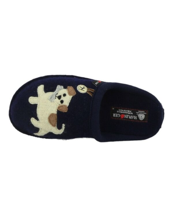 haflinger-flair-fido-bleu