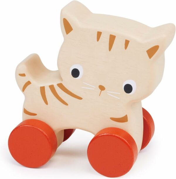 MENTARI - CHAT SUR ROUES – Image 2