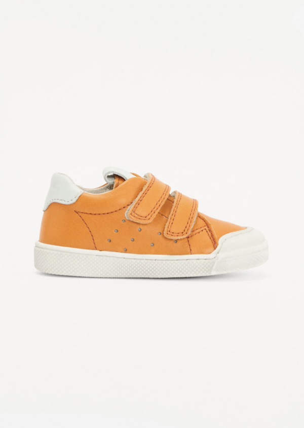 froddo-rosario-orange