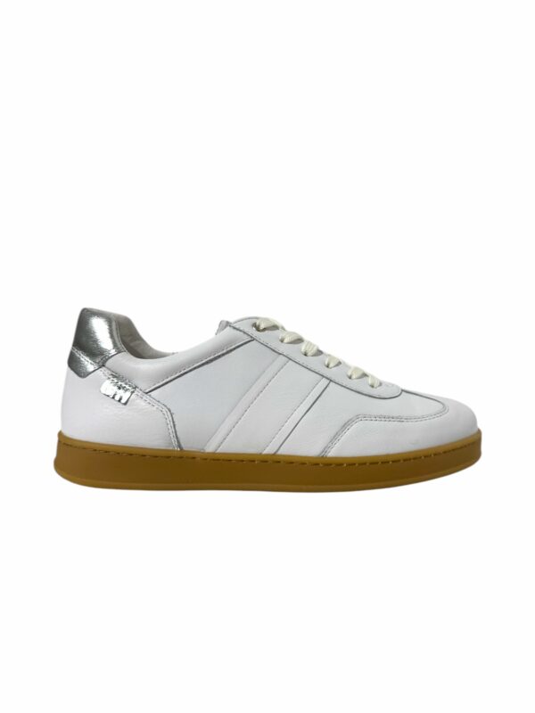 georeino-speci-blanc
