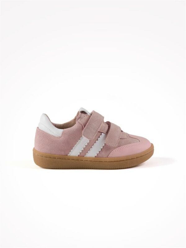 acebos-5881se-kity