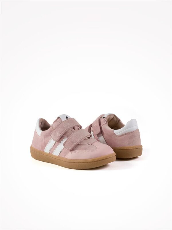acebos-5881se-kity