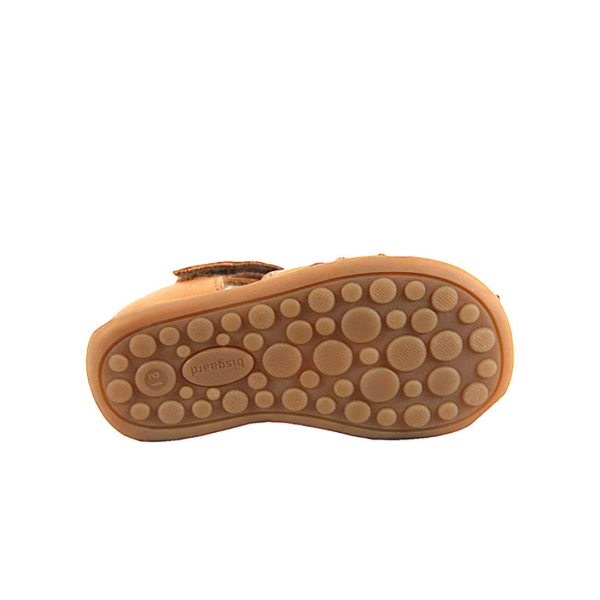 bisgaard-carly-cognac