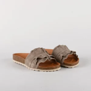 verbenas-rocio-piedra