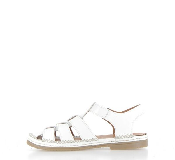 coco-abricot-magescq-blanc