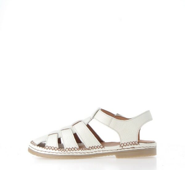 coco-abricot-magescq-beige