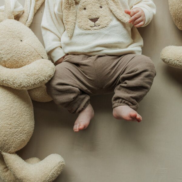wo-trousers-brown