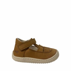 bopy-bonbec-cognac