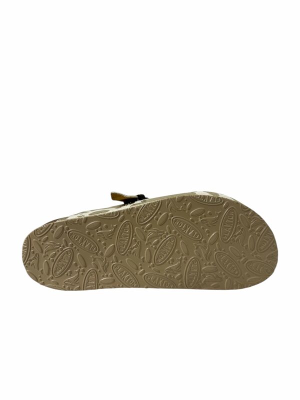 plakton-blogg-cow-champagne