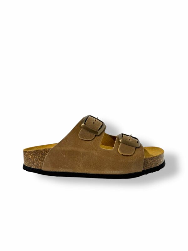 plakton-cp-beta-square-beige