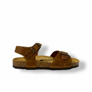 plakton-louis-teen-roble