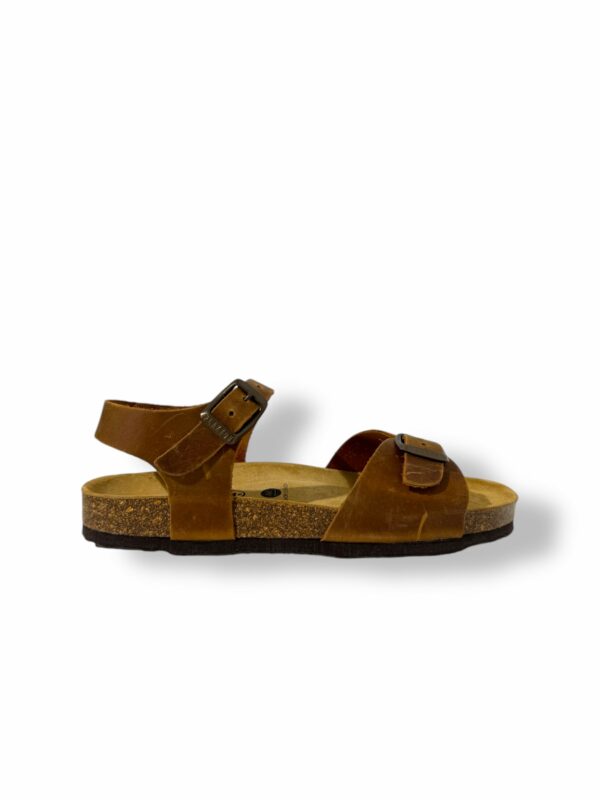 plakton-louis-teen-roble