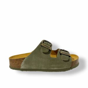 plakton-cp-beta-west-kaki