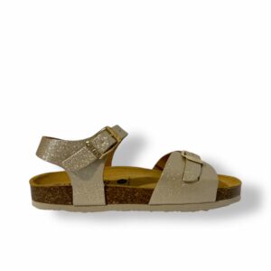 plakton-lisa-oro-02