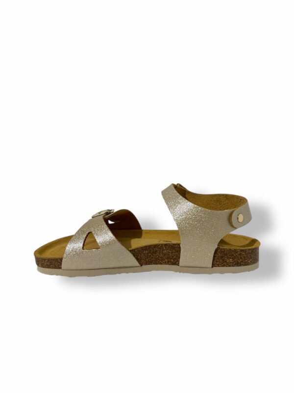 plakton-lisa-oro-02