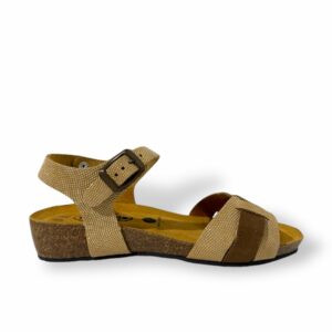 plakton-nube-oro-vison