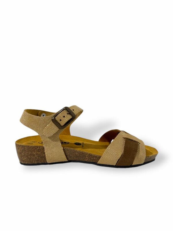 plakton-nube-oro-vison