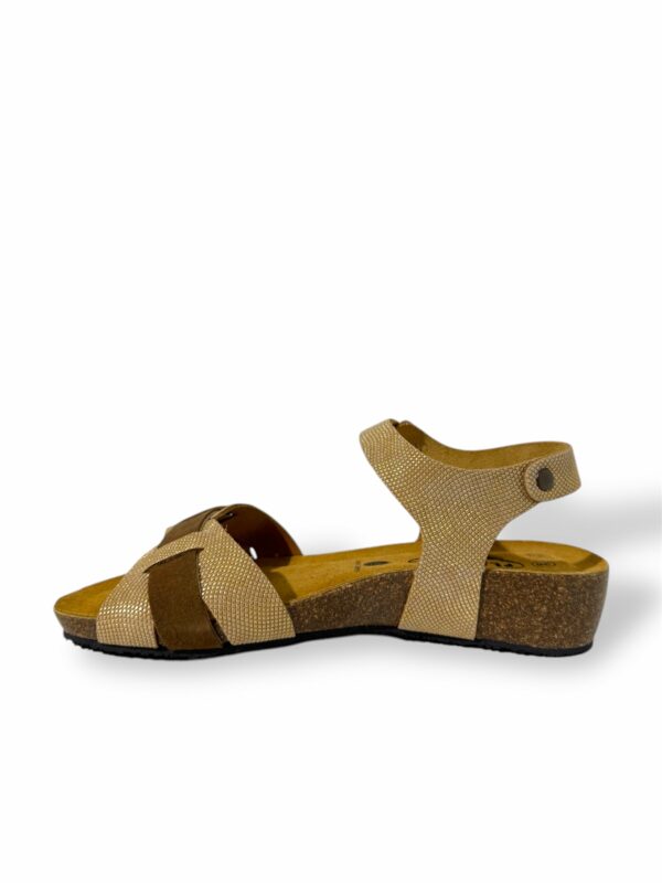 plakton-nube-oro-vison