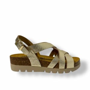 plakton-compas-oro-03