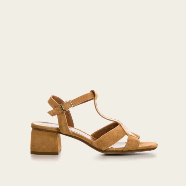 reqins-oslo-camel