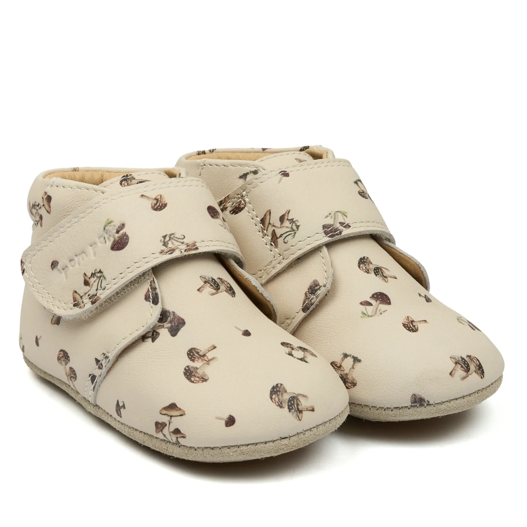 pom-pom-beginners-fungi