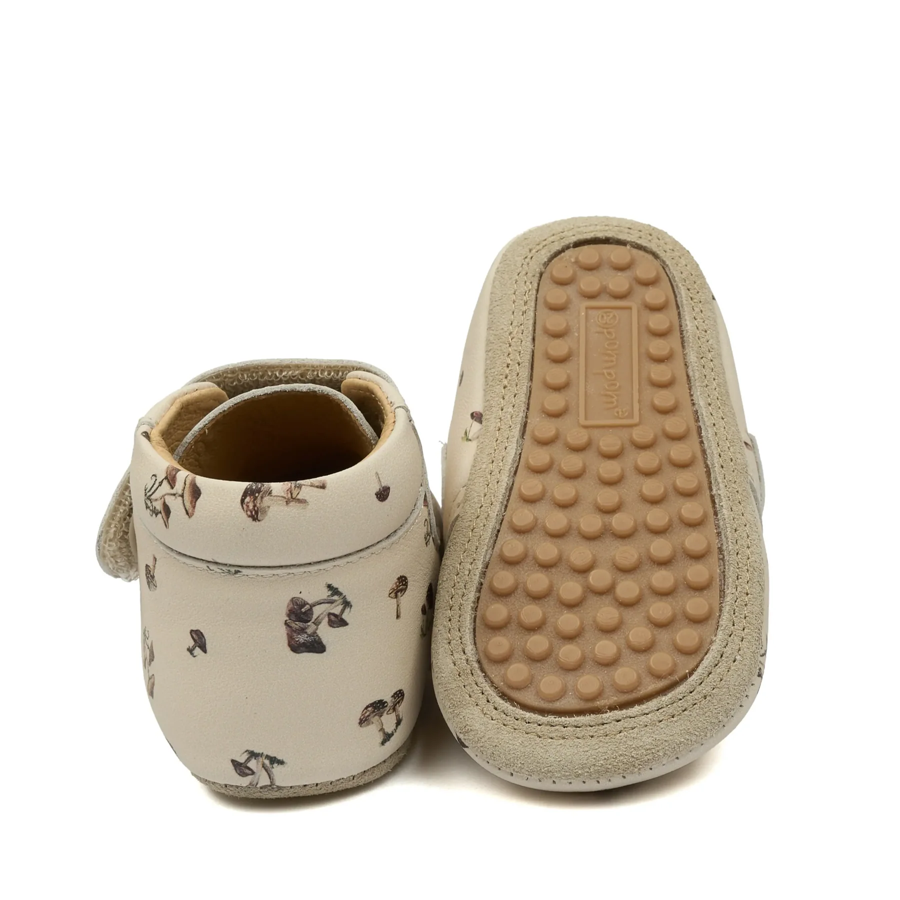 pom-pom-beginners-fungi