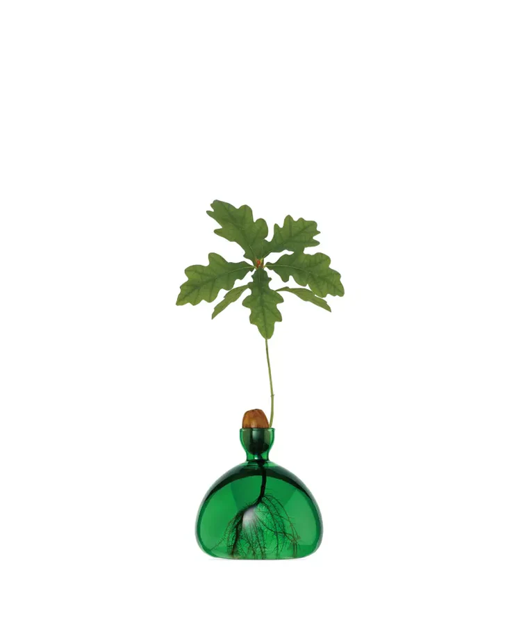 ilex-acorn-vase-green