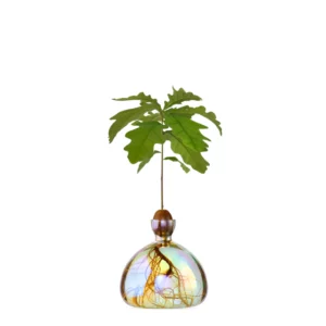 ilex-acorn-vase-cosmic