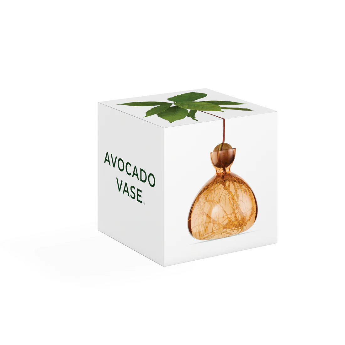 ilex-avocado-vase-abricot