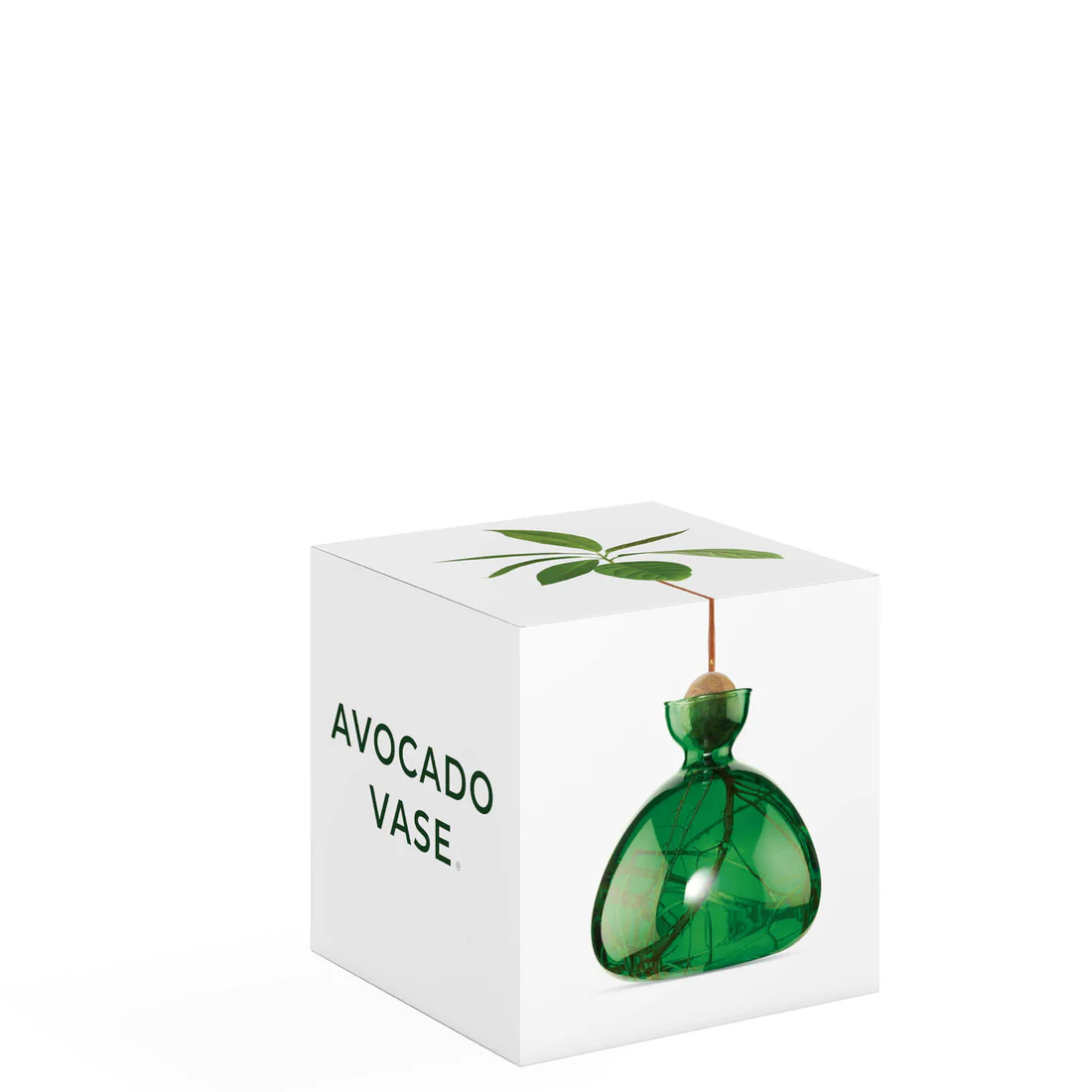 ilex-avocao-vase-green