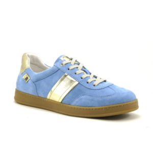 geo-reino-speci-celeste