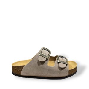 plakton-beta-west-piedra