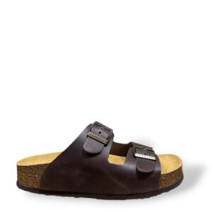 plakton-cp-beta-coffee