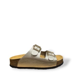 plakton-cp-beta-oro-03