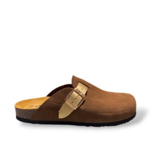 plakton-blogg-roble-oro