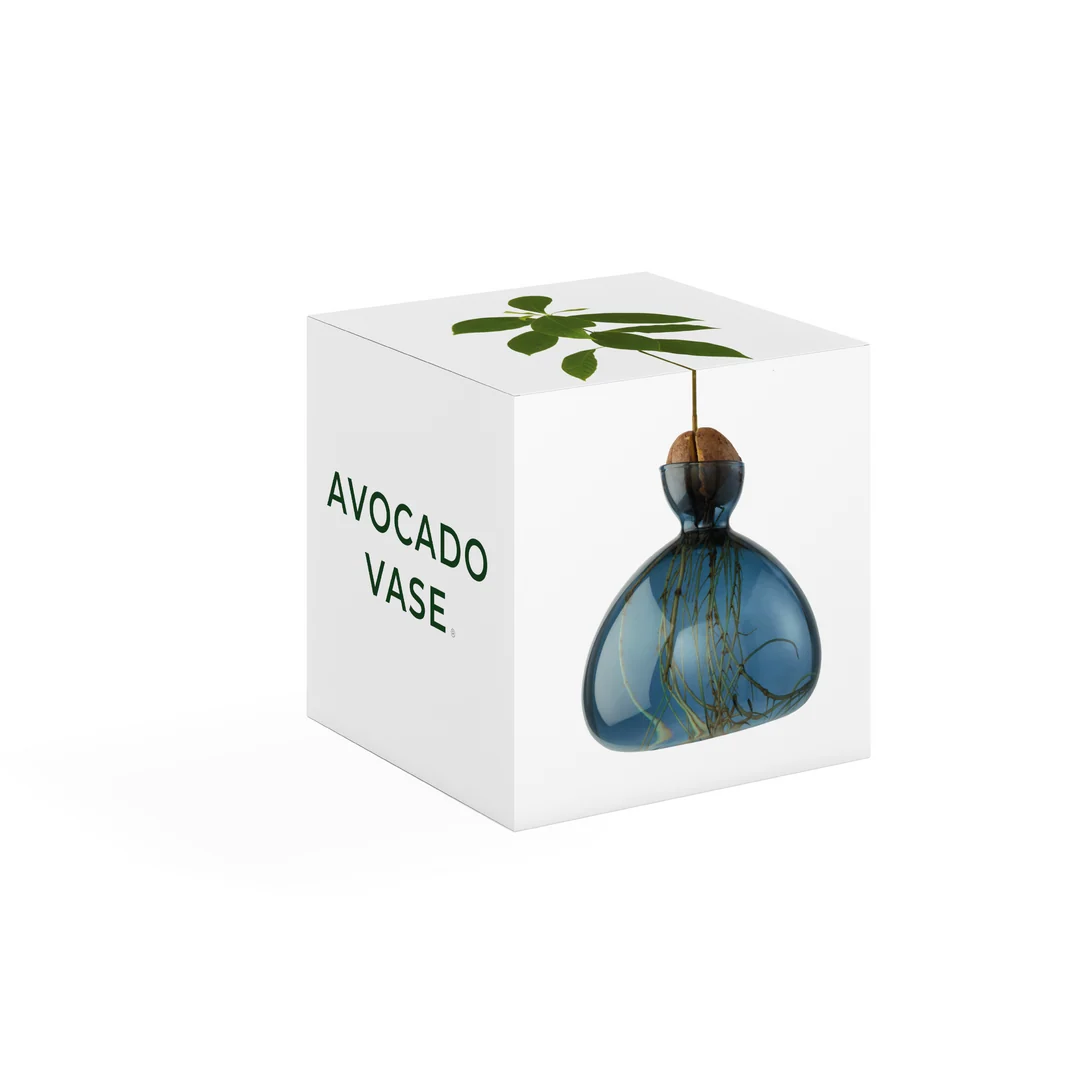 ilex-avocado-vase-new-bleu