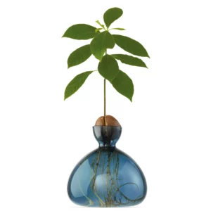 ilex-avocado-vase-new-bleu