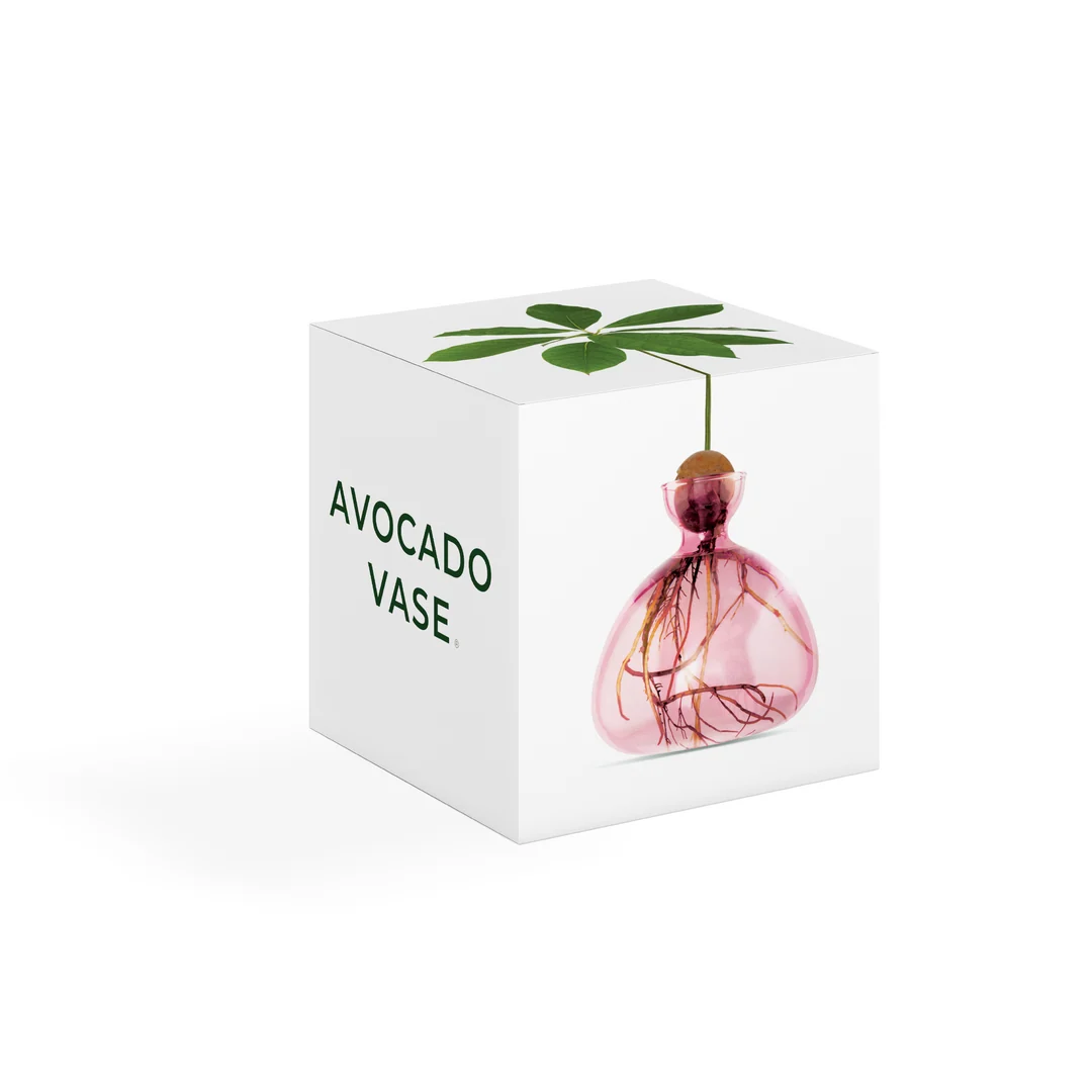 ilex-avocado-vase-rose