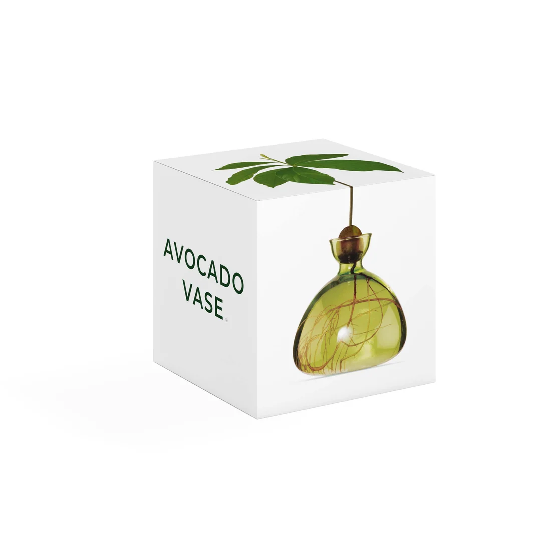 ilex-avocado-vase-vert-herbe
