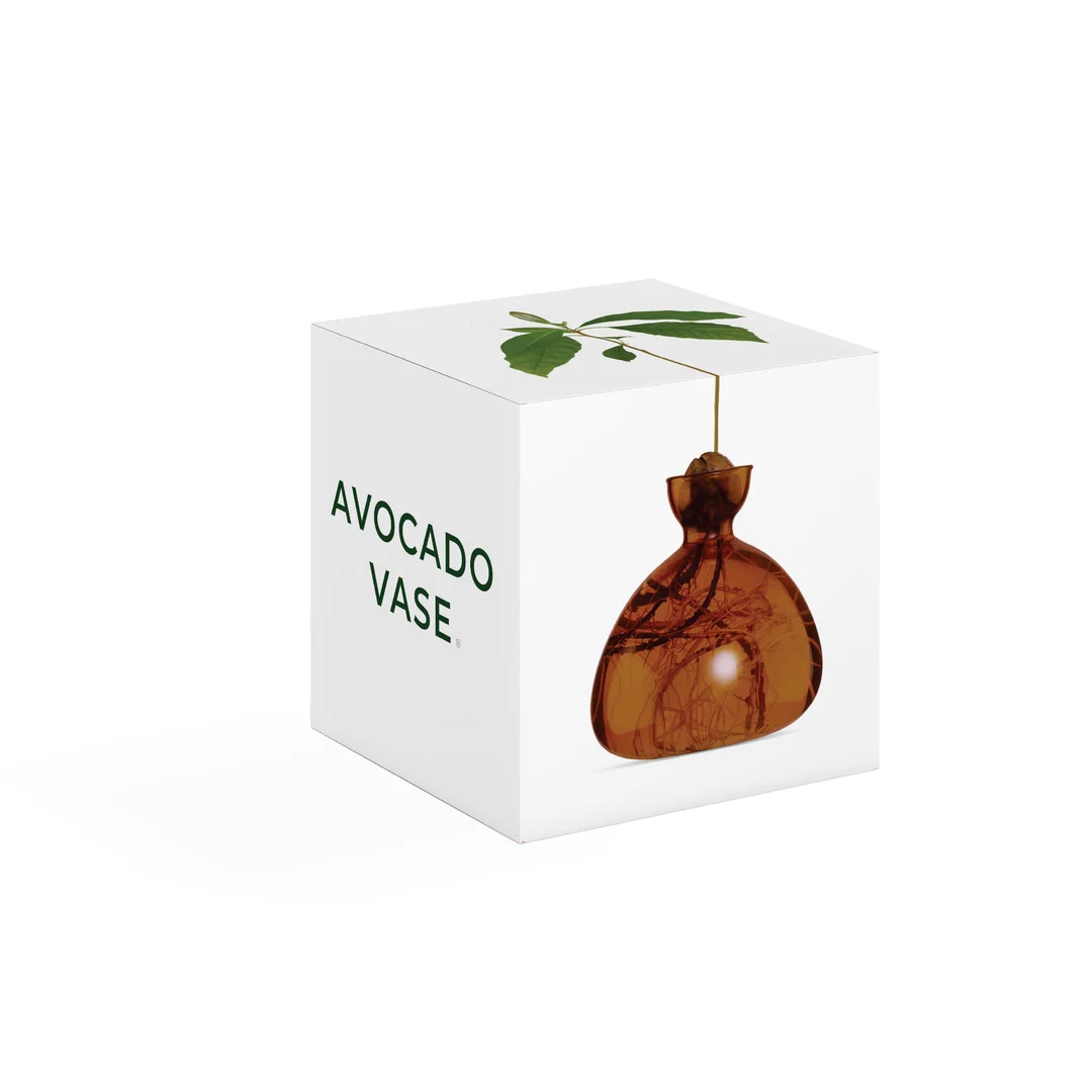 ilex-avocado-vasebrun-roux